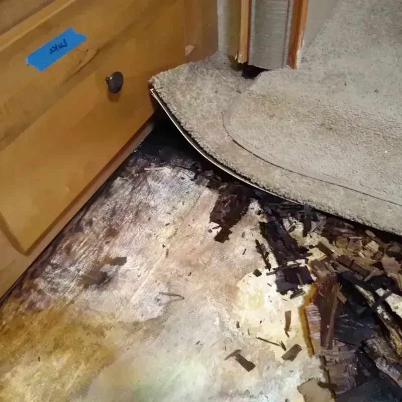 Wood Floor Water Damage in Wilkinson County, MS